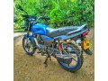 baja-platina-100cc-small-2