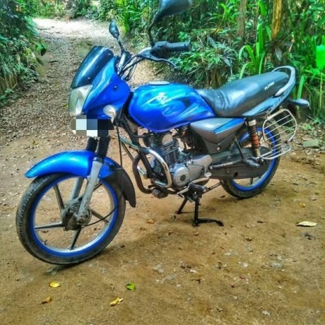 baja-platina-100cc-big-0