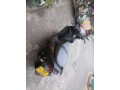 yahmha-zr-small-3