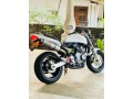 honda-hornet-250-small-1