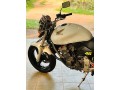 honda-hornet-250-small-3
