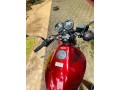 honda-hornet-ch130-small-3