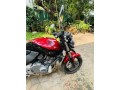 honda-hornet-ch130-small-4