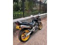 honda-hornet-250-small-3