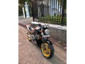 honda-hornet-250-small-1