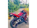 honda-cbr-6-small-3