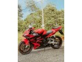 honda-cbr-6-small-2