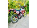 dt-125cc-99-model-small-1