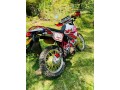 dt-125cc-99-model-small-0