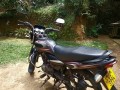 bajaj-platina-100cc-small-3