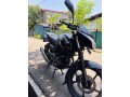 pulsar-135-small-4