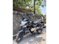 pulsar-135-small-1