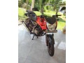 pulser-135-lx-small-0