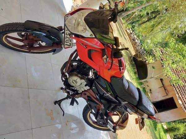 pulser-135-lx-big-1
