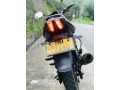 pulser-150-small-1
