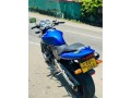honda-hornet-250-small-4