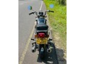 honda-benly-125cc-small-3