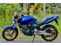 for-sale-honda-hornet-250ccch115-small-1