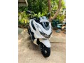 pcx-125-2023-2024-registerd-small-3