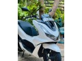 pcx-125-2023-2024-registerd-small-1