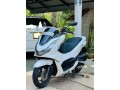 pcx-125-2023-2024-registerd-small-2