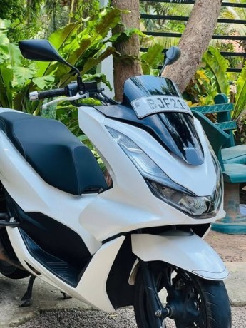 pcx-125-2023-2024-registerd-big-1