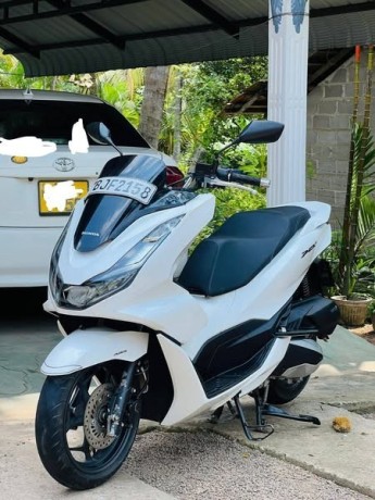 pcx-125-2023-2024-registerd-big-2