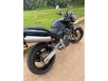 honda-honet-small-3