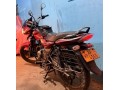 bajaj-discovery-small-2