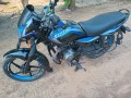 platina125-small-4