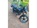 platina125-small-1