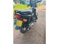 platina125-small-2
