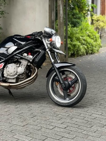 bandit-250s-big-4