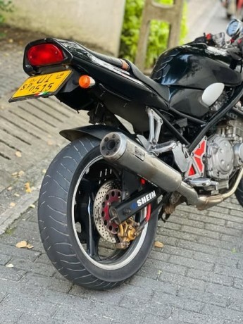 bandit-250s-big-3