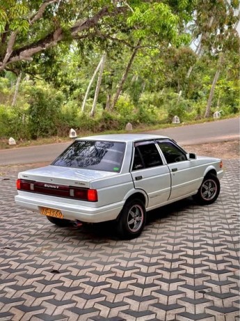 nissan-sunny-e-fb12-trad-sunny-big-3