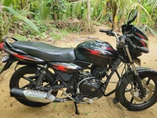 discover-135