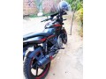 pulsar-150-2017-small-0