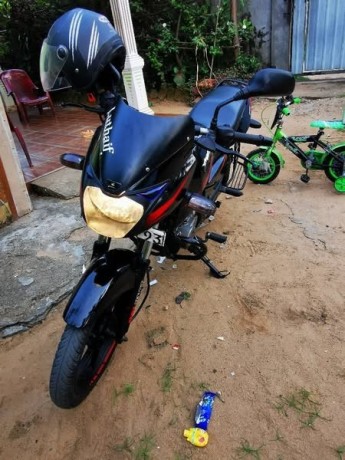 pulsar-150-2017-big-1