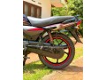 platina-100cc-small-4