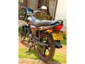 platina-100cc-small-2