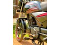 platina-100cc-small-3