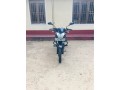 pulser-135-small-0