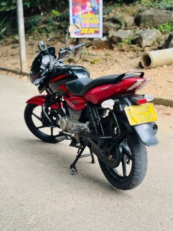pulsar-150-big-3