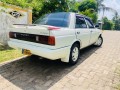 nissan-hb12-trad-sunny-small-1