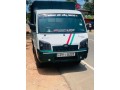 maxximo-plus-2014-small-0