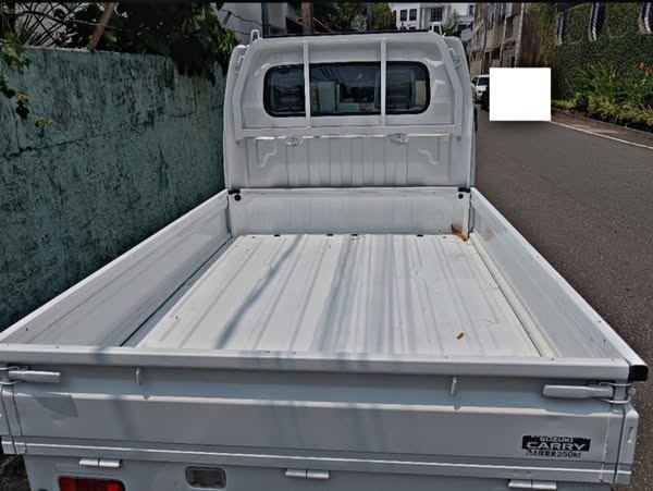 suzuki-avery-buddy-truck-big-3