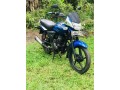 platina-125-small-1
