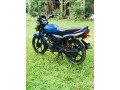 platina-125-small-2