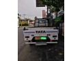 tata-dimo-lokka-small-3