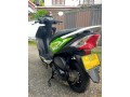 honda-dio-small-3